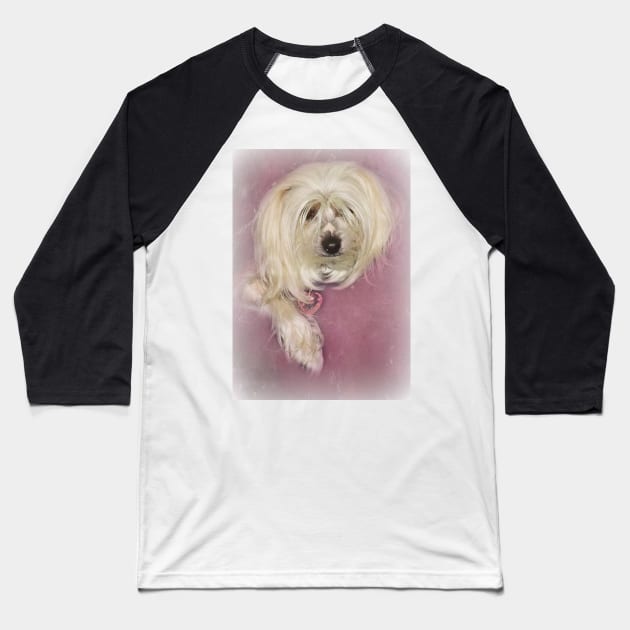 Chinese Crested Dog on Pink Baseball T-Shirt by Furtographic